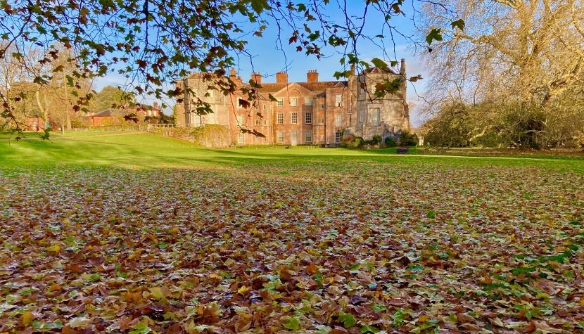 Mottisfont - house and lawn with autumn leaves - National Trust Images, Jonny Norton